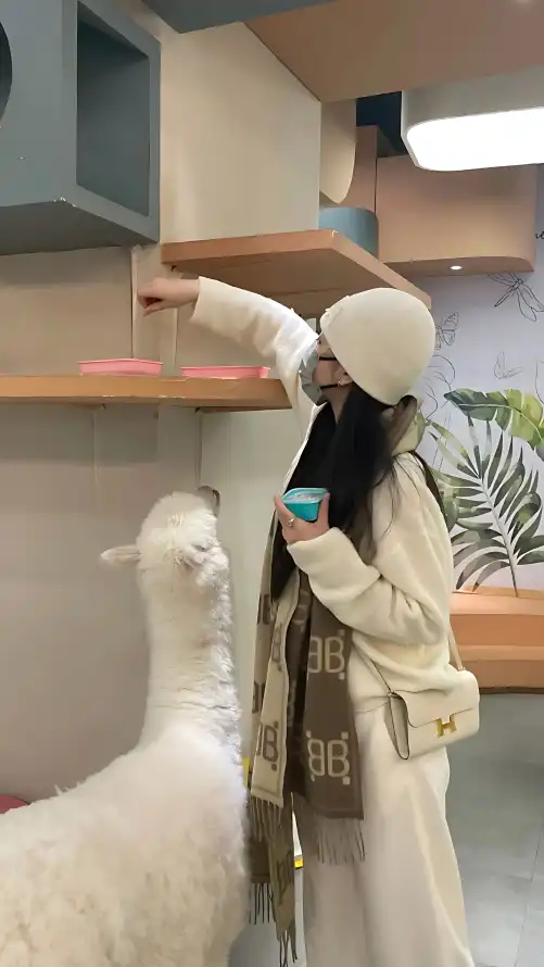 AV综合网男人的天堂_看b站直播软件_国产亚洲日韩欧美一区二区三区